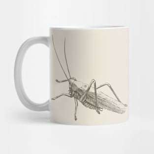 Dramabite Vintage grasshopper illustration Mug